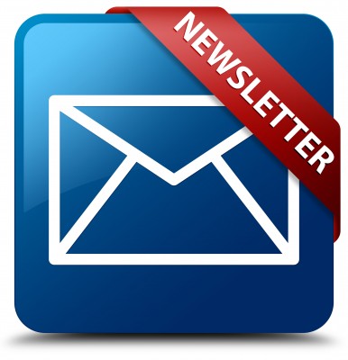 NewsletterIcon